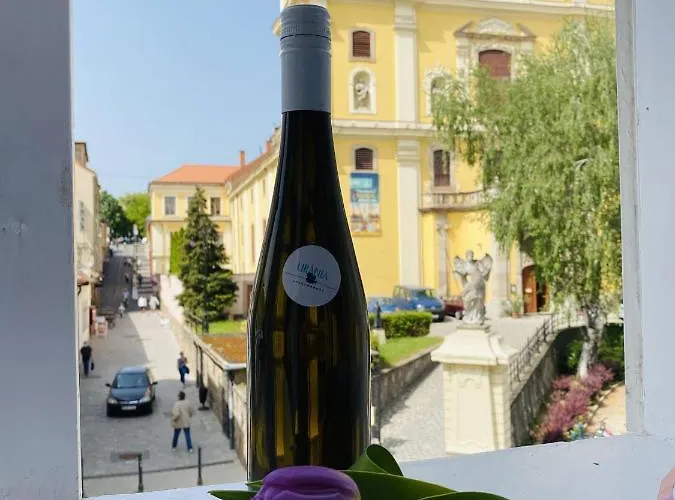 Urania Apartmanhaz Ξενοδοχείο με διαμερίσματα Έγκερ